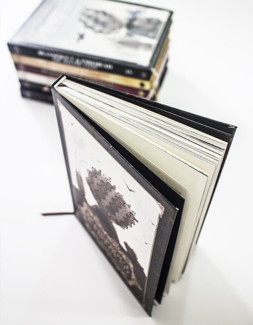 Beansprout & Firehead II In the black season - ถั่วงอกและหัวไฟ (เล่ม2) ในฤดูกาลสีดำ (ปกกึ่งแข็ง)