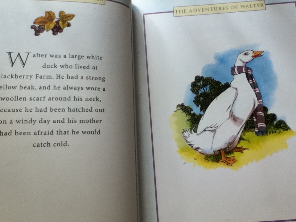 THE ADVENTURES OF WALTER/ Jane Pilgrim