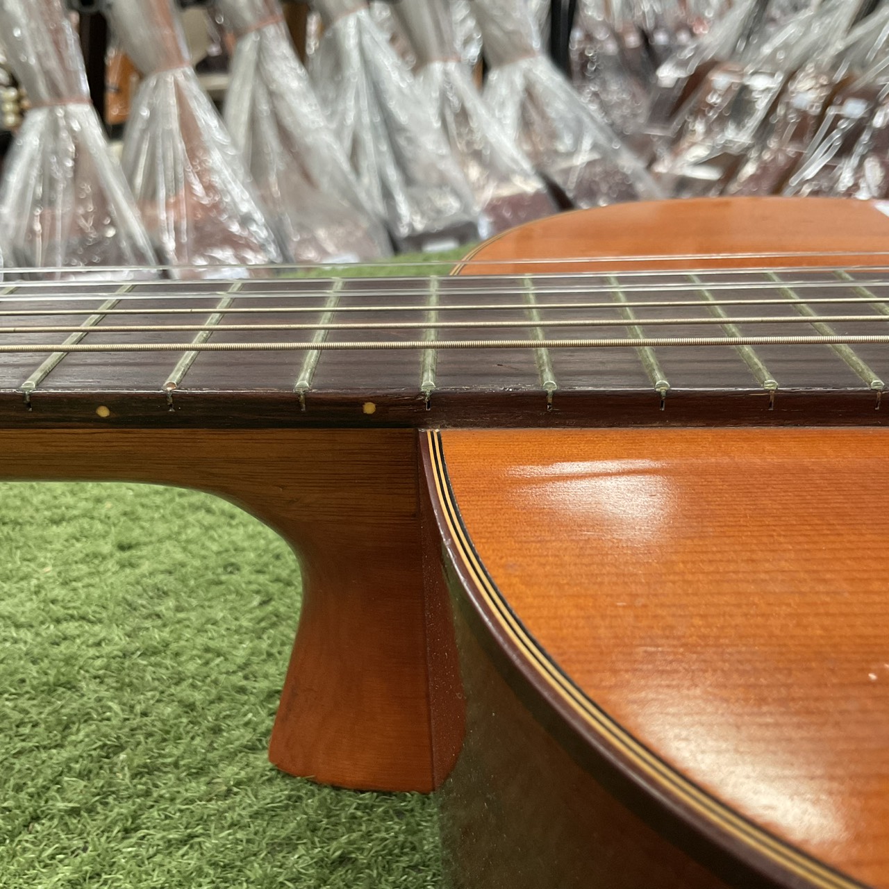 กีต้าร์คลาสสิค SUZUKI : N6