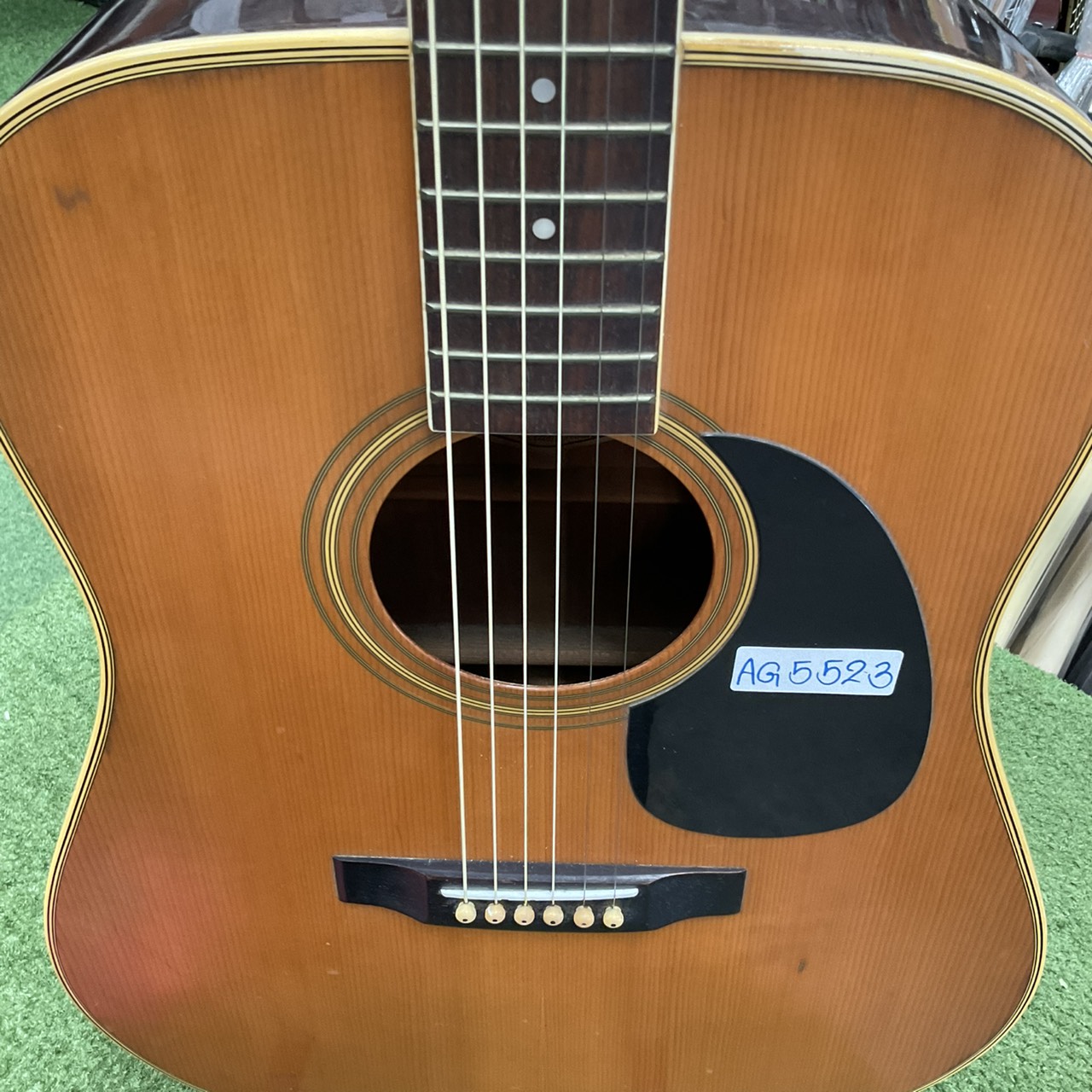 กีต้าร์โปร่ง Morris : W-20