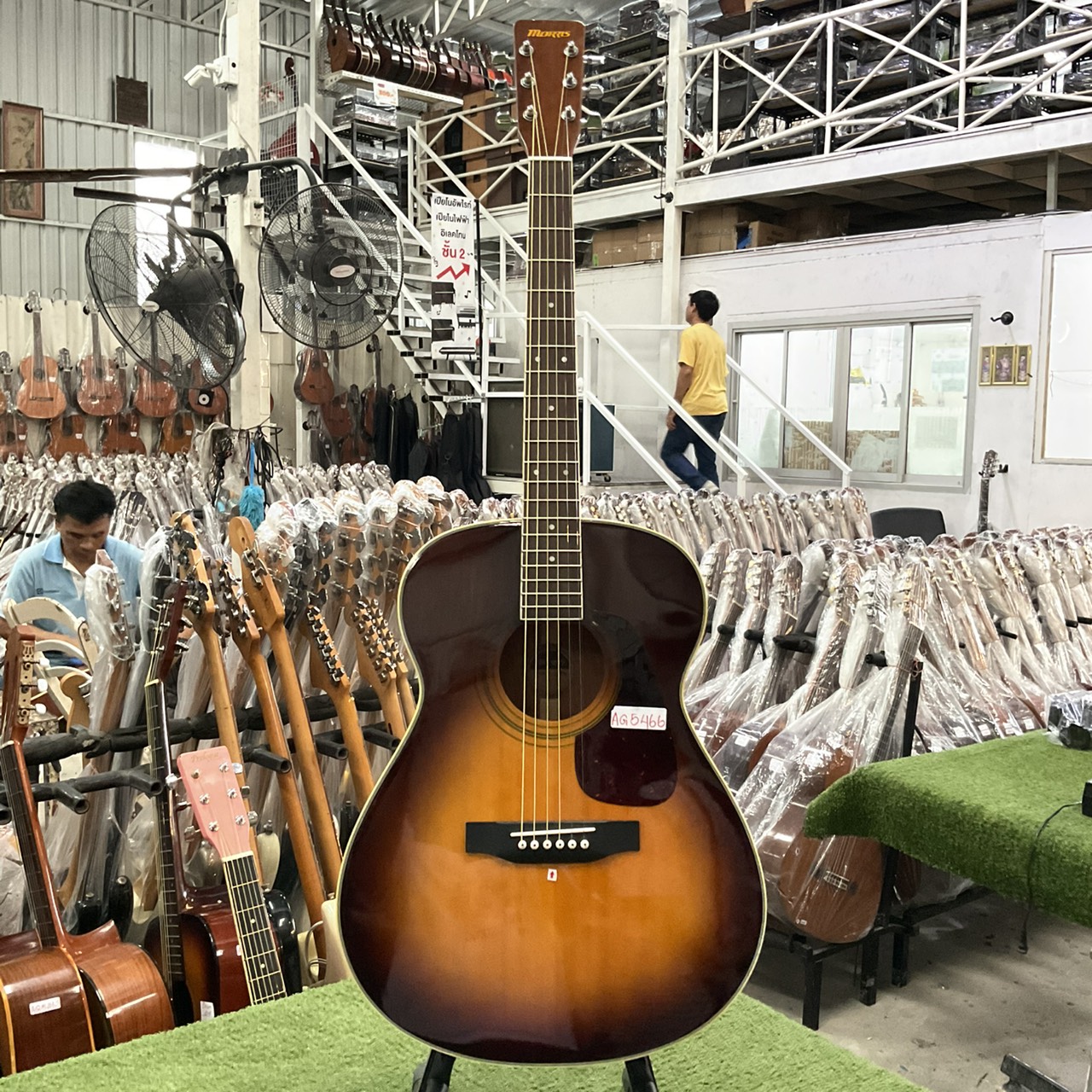 กีต้าร์โปร่ง MORRIS : MF-306TS