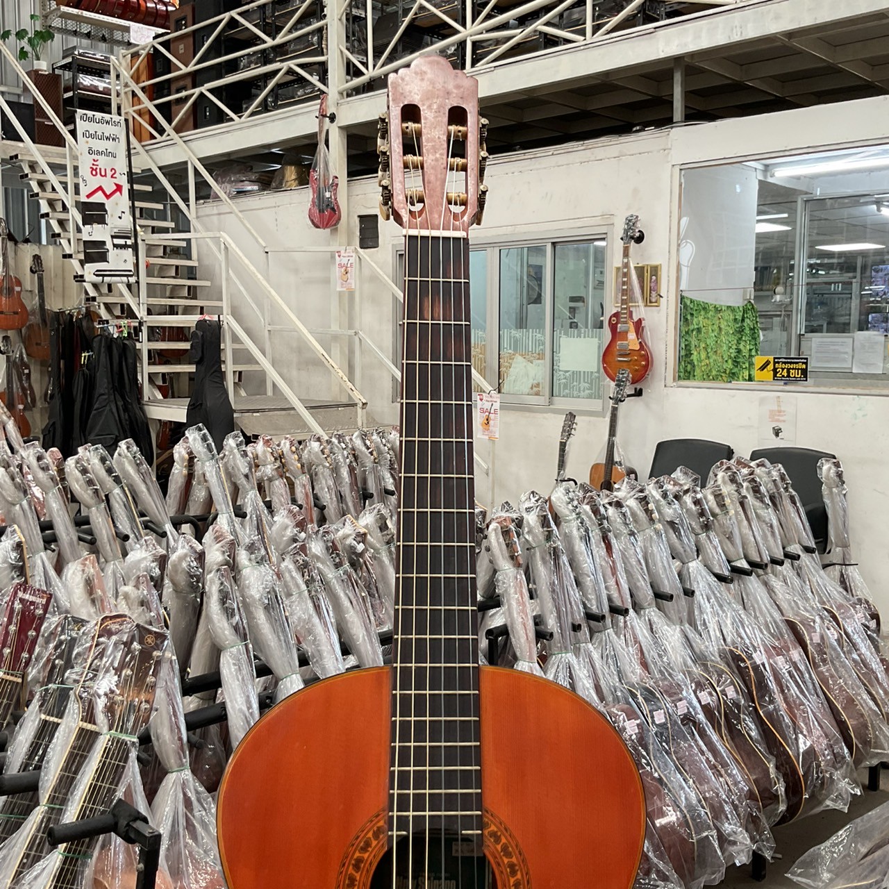 กีต้าร์คลาสสิค New Shinano : NS-100