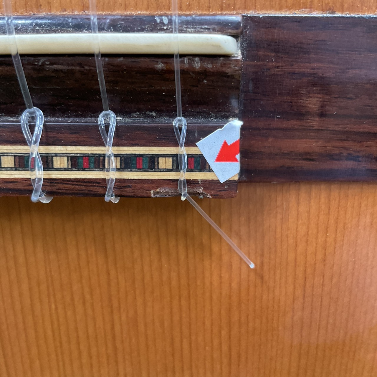 กีต้าร์คลาสสิค Tokai : No.85