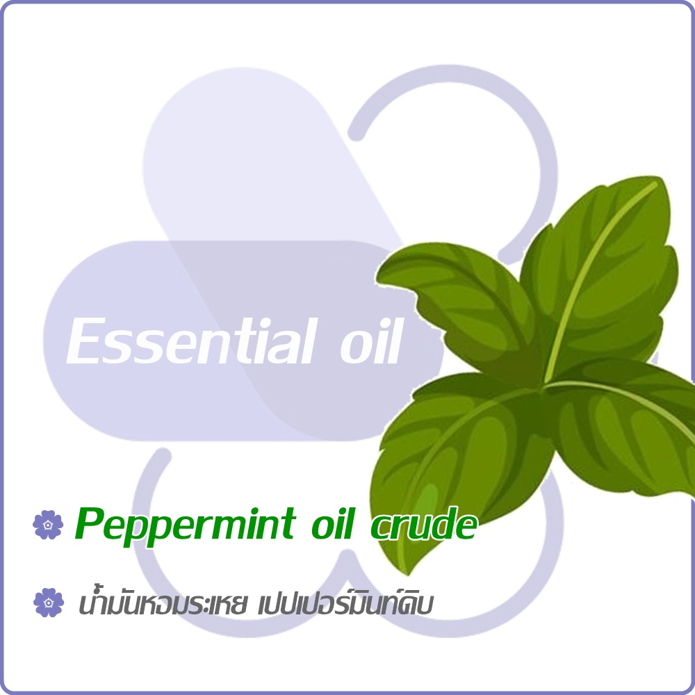 Peppermint oil crude /Arvensis Peppermint Oil น้ำมันหอมระเหย เปปเปอร์มินท์ดิบ (Menthol 70-75 %) bitter-sweet minty / ละลายในน้ำมัน - ไม่เร่งเทรซ COA / SDS