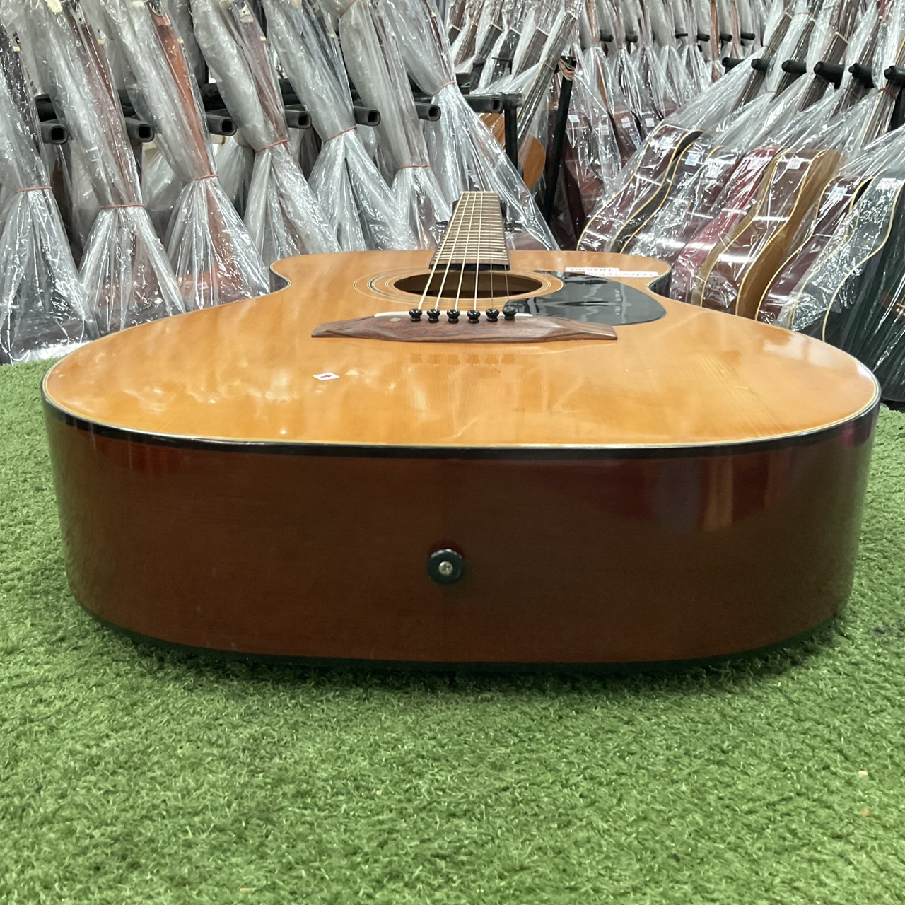 กีต้าร์โปร่ง Horugel : SF150