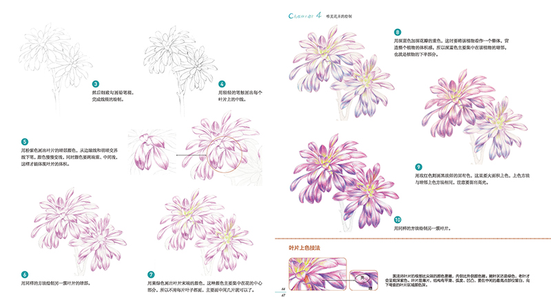 (Pre-order) หนังสือสอนระบายสีไม้ภาพดอกไม้สำหรับระดับเริ่มต้น Life is a flower