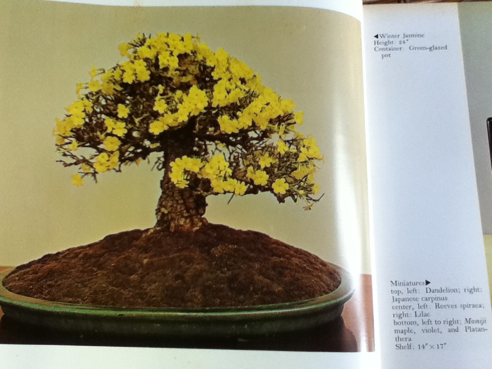 THE MASTERS' BOOK OF BONSAI