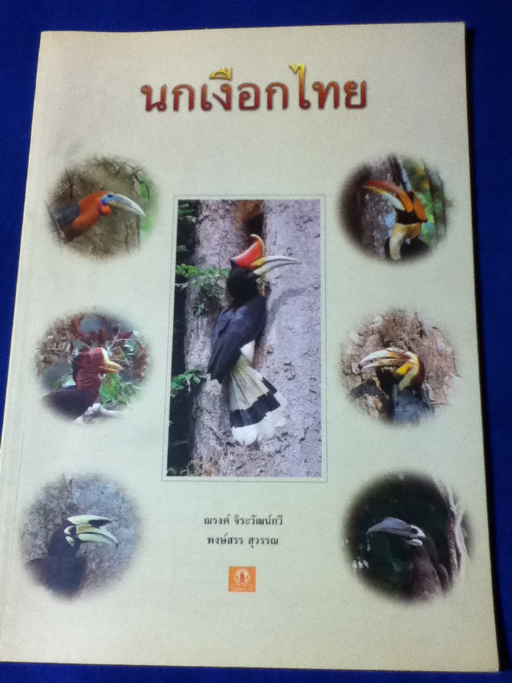นกเงือกไทย