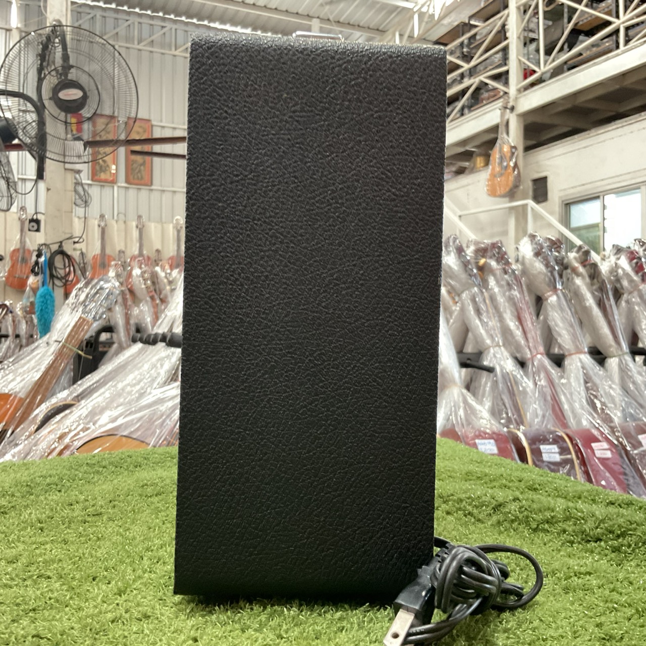 แอมป์กีต้าร์ ADVANCE : AF-100