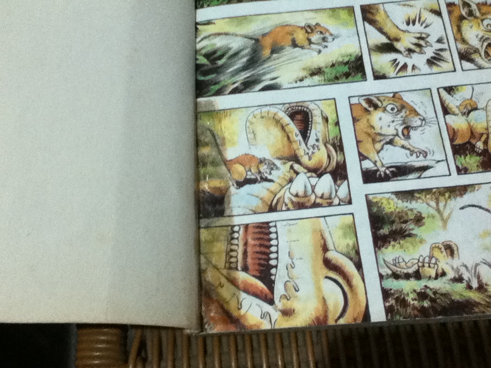 ก๊อง เล่ม1/ มาซาชิ ทานากะ