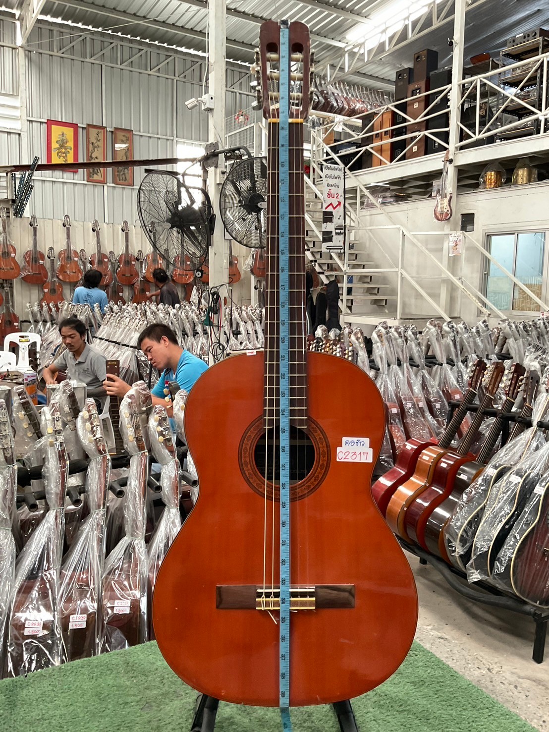 กีต้าร์คลาสสิค SUZUKI : C-13