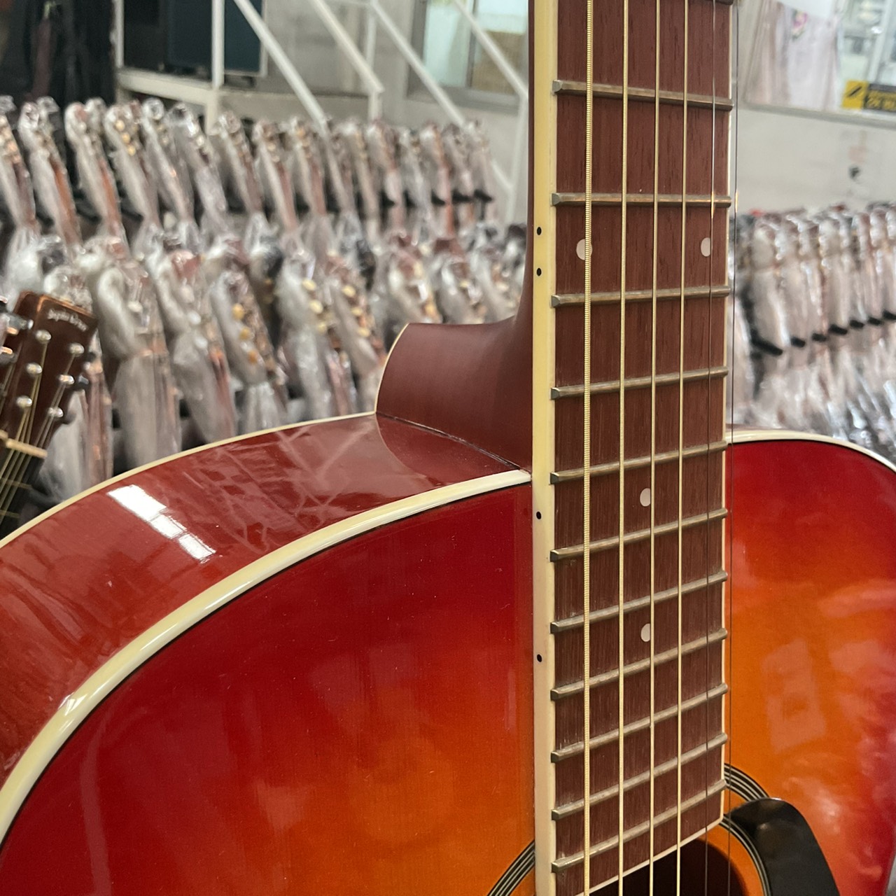 กีต้าร์โปร่ง Falcon : FSG-1F CAO