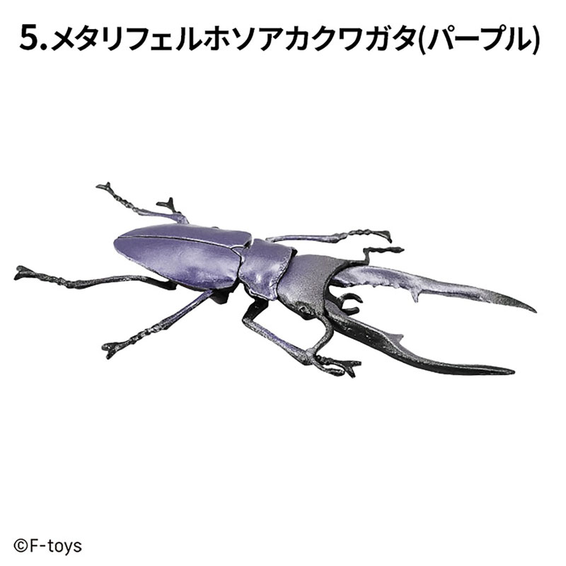 Insect Hunter Beetle x Stag Beetle 10Pack BOX (CANDY TOY)(Pre-order)