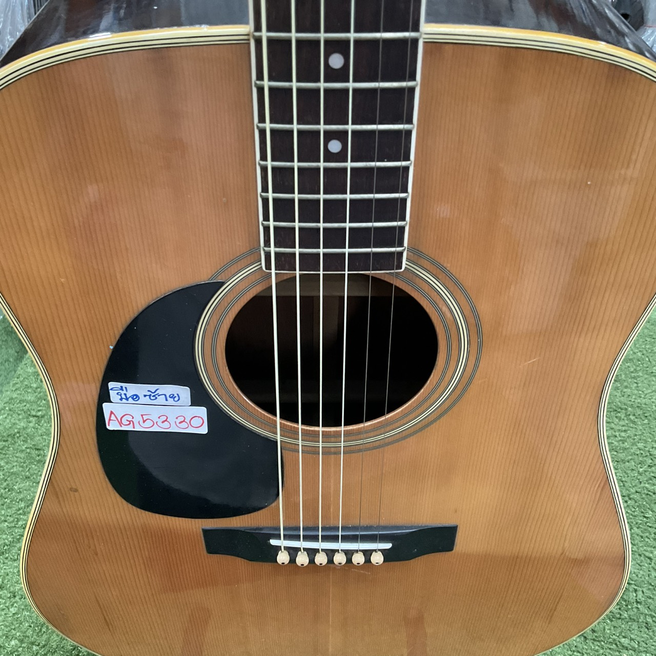 กีต้าร์โปร่ง Morris : W-20 (สำหรับมือซ้าย)