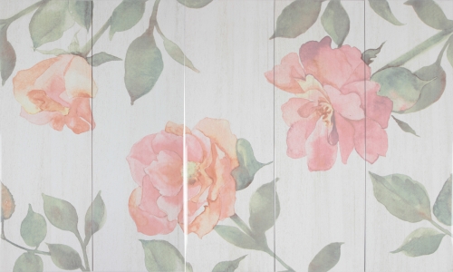 WT 8x24 ชุดพัสเทลล่า โรส PM (5ผ./ชุด)