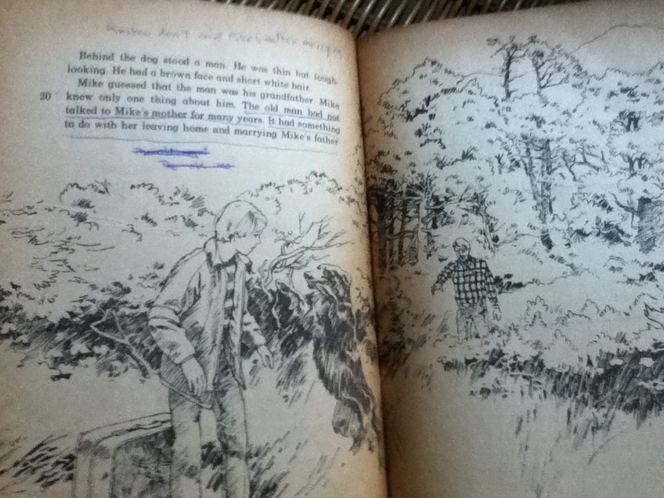 RAGING RAPIDS/ Patty Brisco