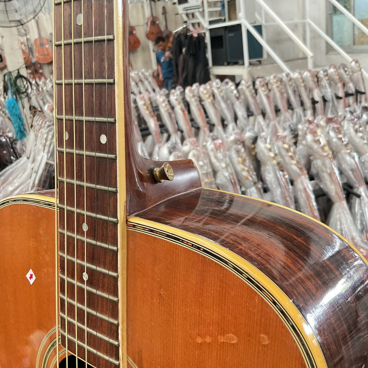 กีต้าร์โปร่ง MORRIS : SPECIAL