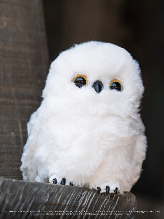 [Pre-Order] Harry Potter Snow owl Universal Studios Beijing นกฮูกแฮร์รี่ โต้ตอบได้