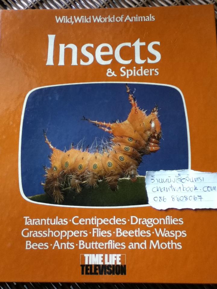 Insects & Spiders หนังสือชุดWild,Wild World of Animals