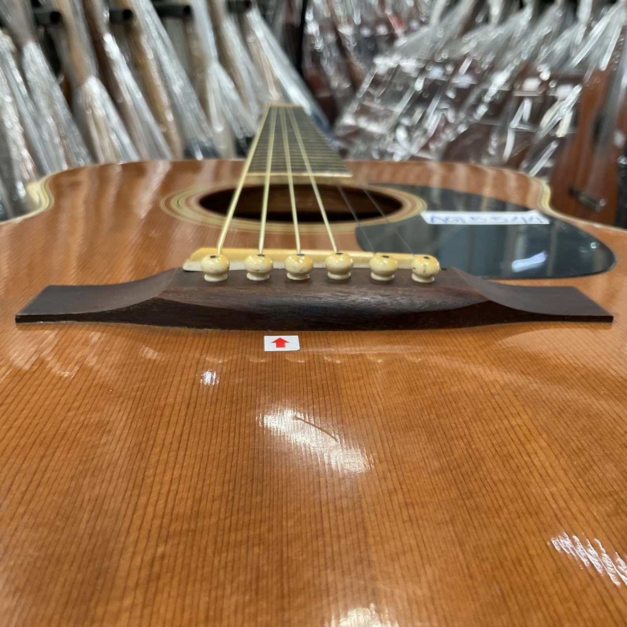 กีต้าร์โปร่ง MORRIS : F15