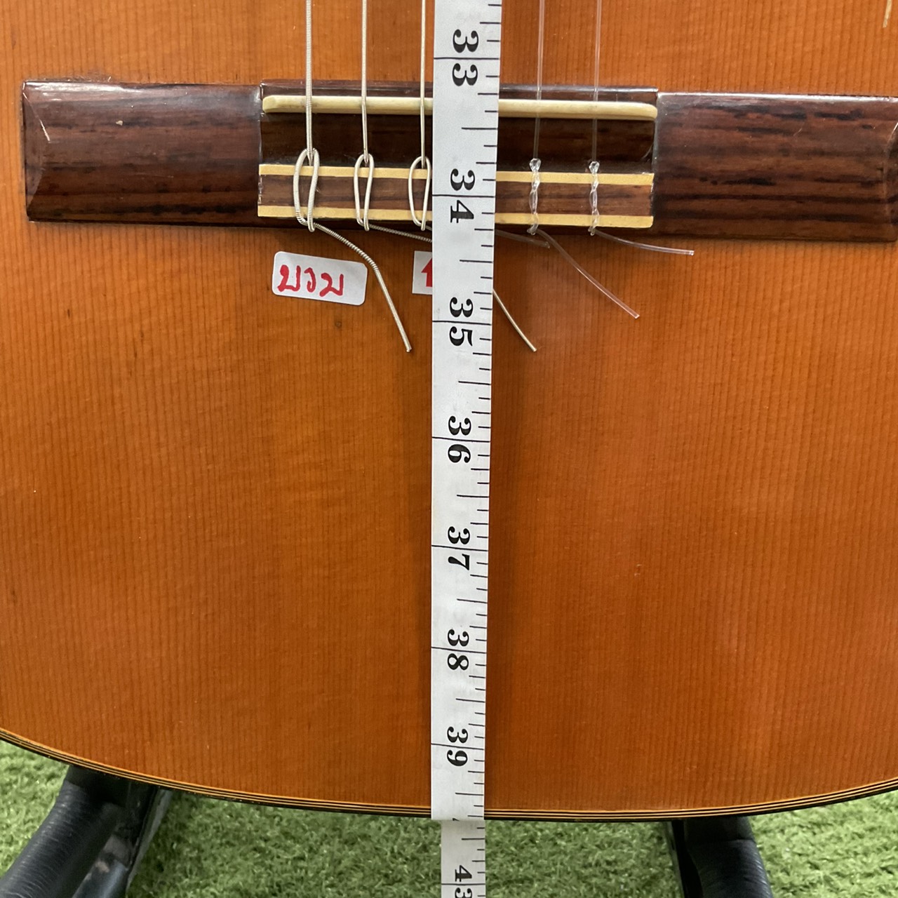 กีต้าร์คลาสสิค Mizuno