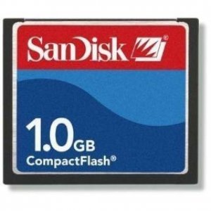1GB CF Memory Card