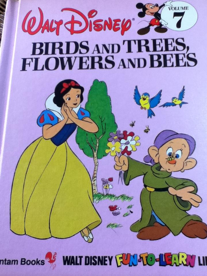 WALT DISNEY FUN-TO-LEARN LIBRARY Volume 3-19 (17 เล่ม)