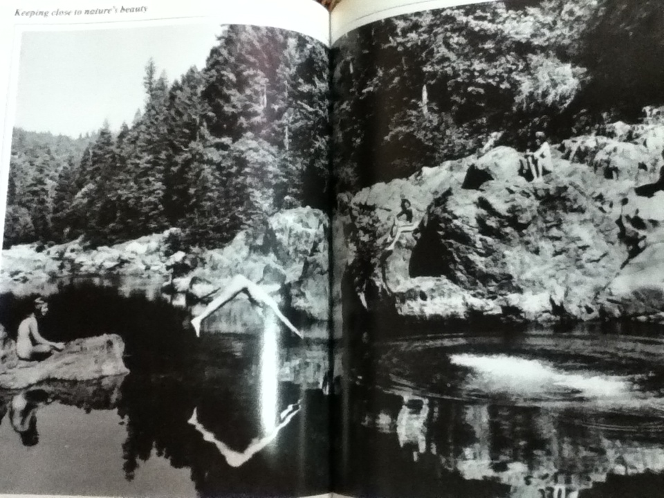 The Joy of LIFE/ Philip B. Kunhardt Jr.