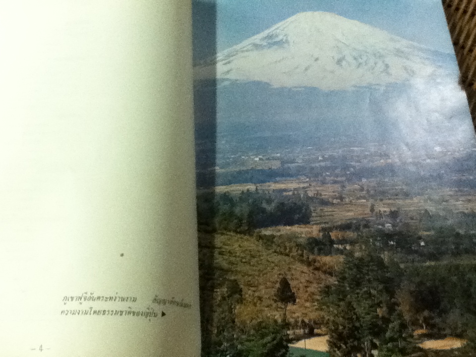 ญี่ปุ่นปัจจุบัน