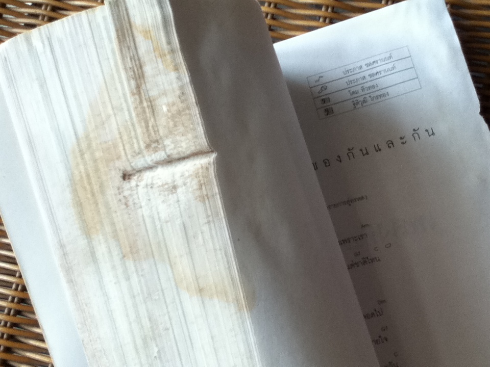 เพลงเขียนคน ดนตรีเขียนโลก/ ประภาส ชลศรานนท์