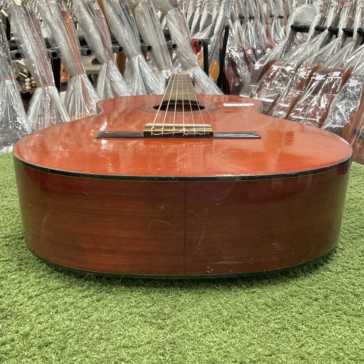 กีต้าร์คลาสสิค SUZUKI : C-10