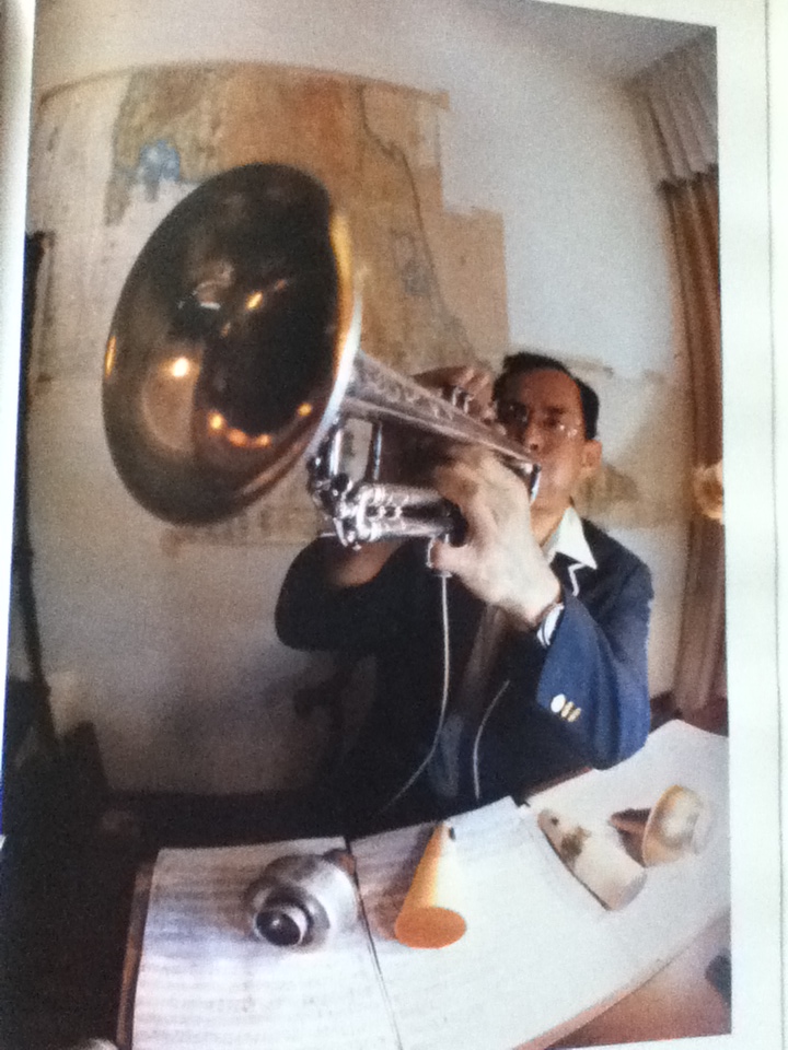 ภาพถ่ายฝีพระหัตถ์พระบาทสมเด็จพระเจ้าอยู่หัว พิมพ์เนื่องในวโรกาสพระราชพิธีมหามงคลเฉลิมพระชนมพรรษา 5 รอบ และพระราชพิธีรัชมังคลาภิเษก