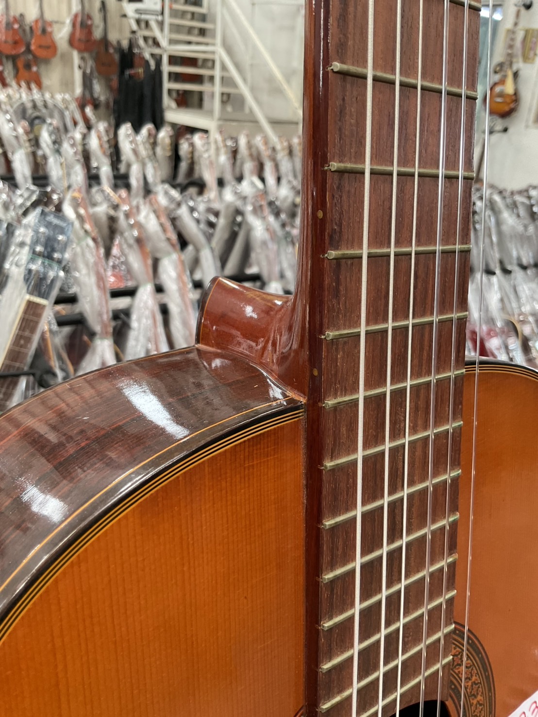 กีต้าร์คลาสสิค Abe Gut : 63E