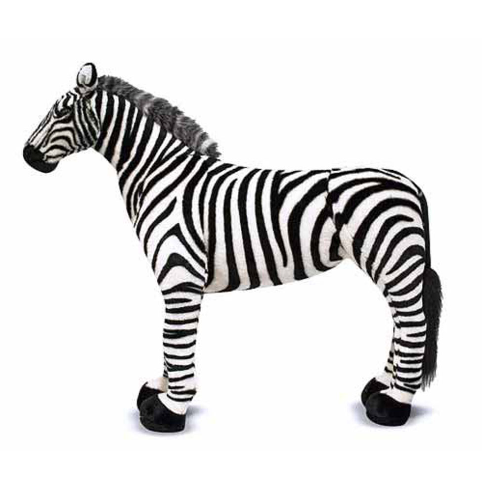 ม้าลาย Zebra