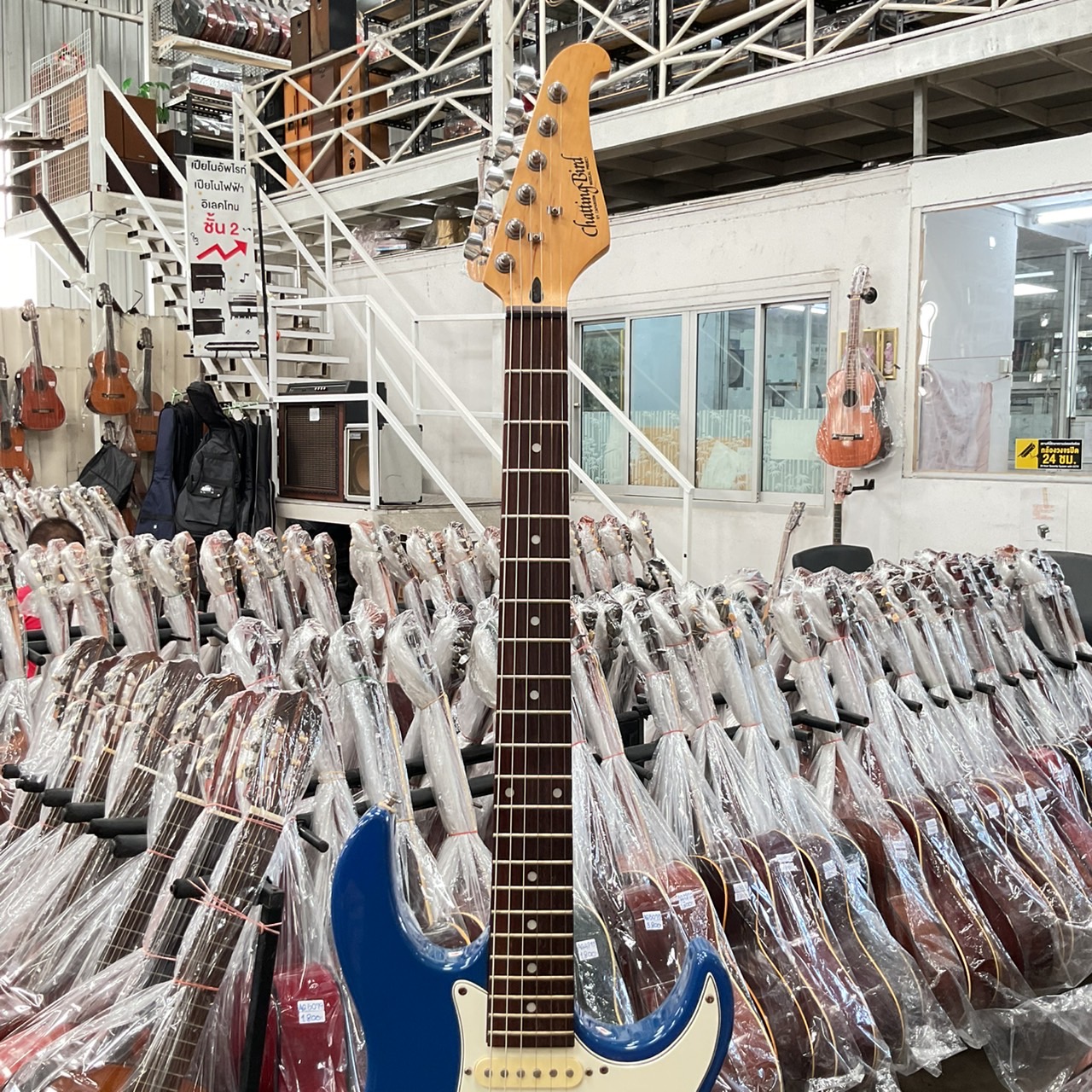 กีต้าร์ไฟฟ้า CHATTING BRID