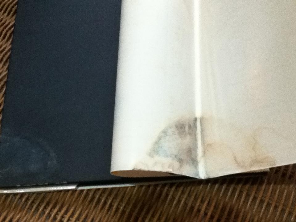 EYEWITNESS GUIDES 9 เล่ม