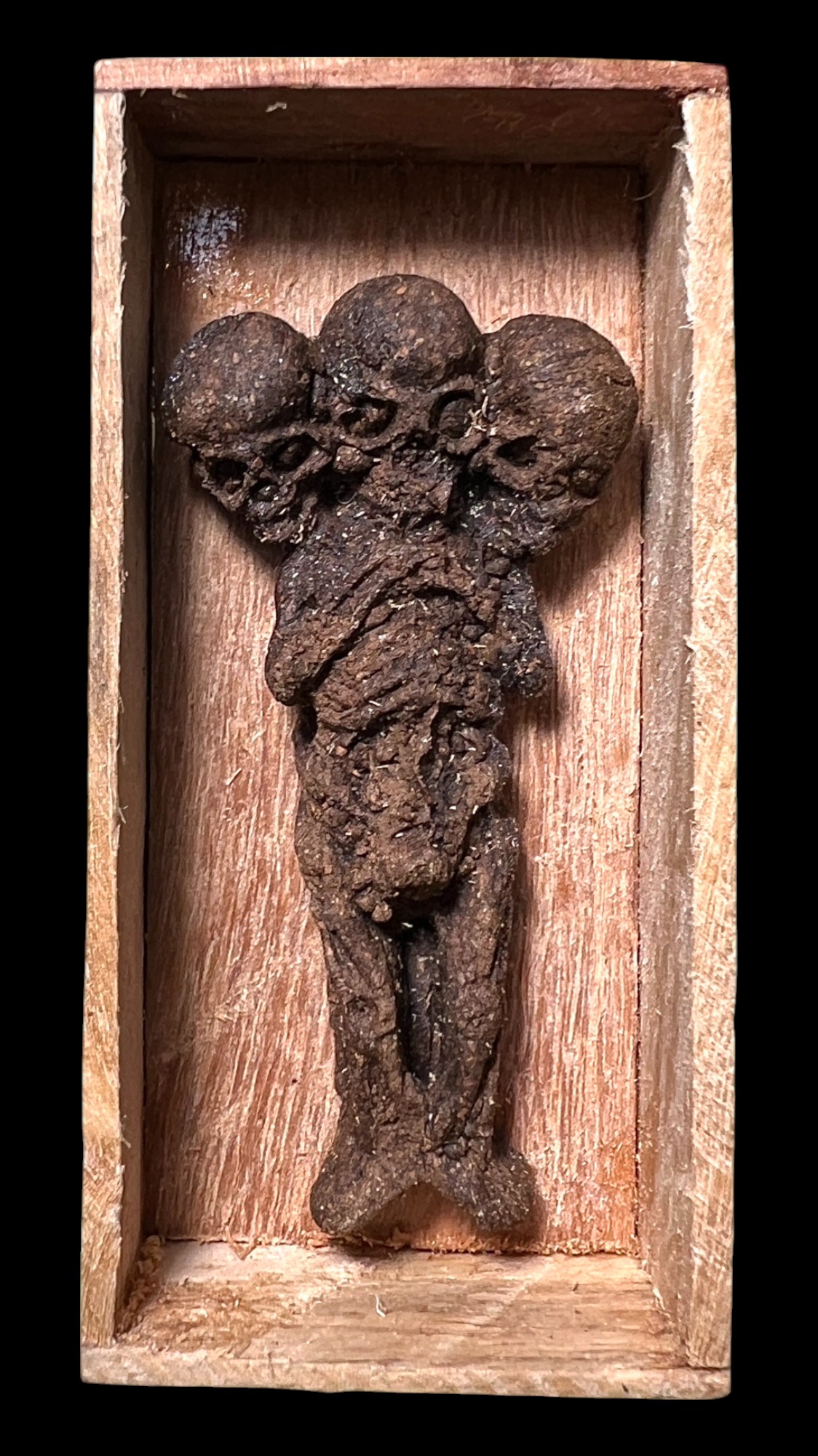 ลูกกรอกสามหัวนอนโลง Three-Headed Lukkrok In Coffin. SKU-03785