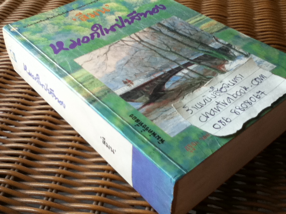 หมอกในป่าสีทอง/ สีมน