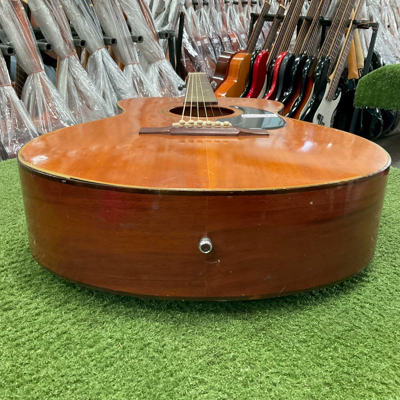 กีต้าร์โปร่ง Hamox : F-85