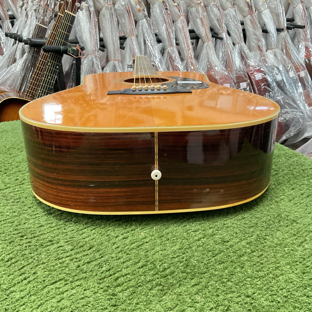 กีต้าร์โปร่ง Morales : LYRE BIRD