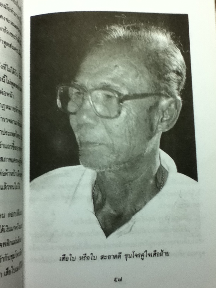 เสือฝ้าย/ เพลิง ภูผา