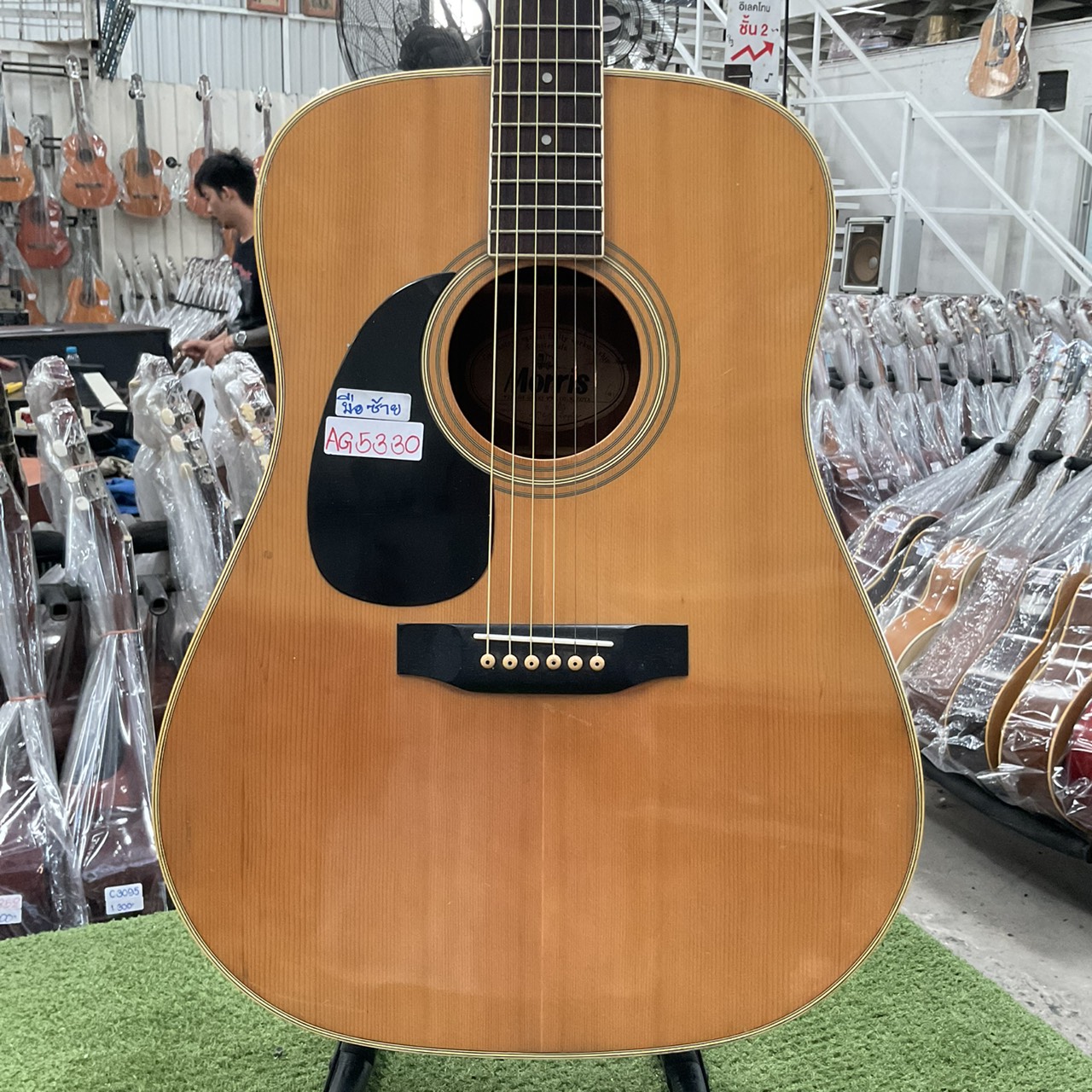 กีต้าร์โปร่ง Morris : W-20 (สำหรับมือซ้าย)