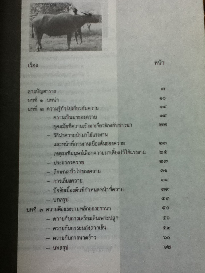 ควายไทย สัตว์กตัญญูซึ่งกำลังถูกลืม/ เอี่ยม ทองดี