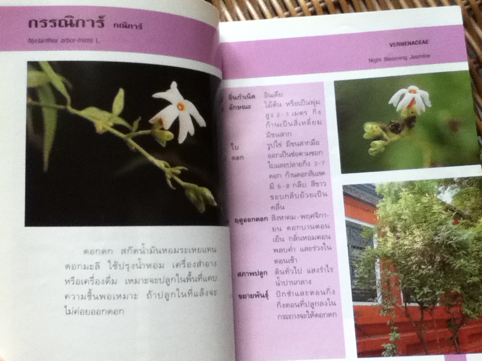 ไม้ดอกหอม3เล่ม/ วชิรพงศ์ หวลบุตตา