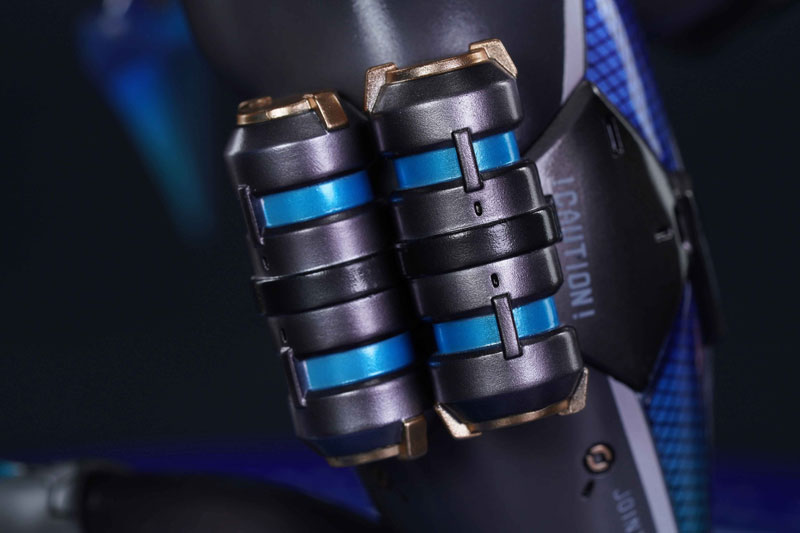 BUNNY SUIT PLANNING Sophia F. Shirring Ninja Ver. 1/6 Complete Figure(Pre-order)