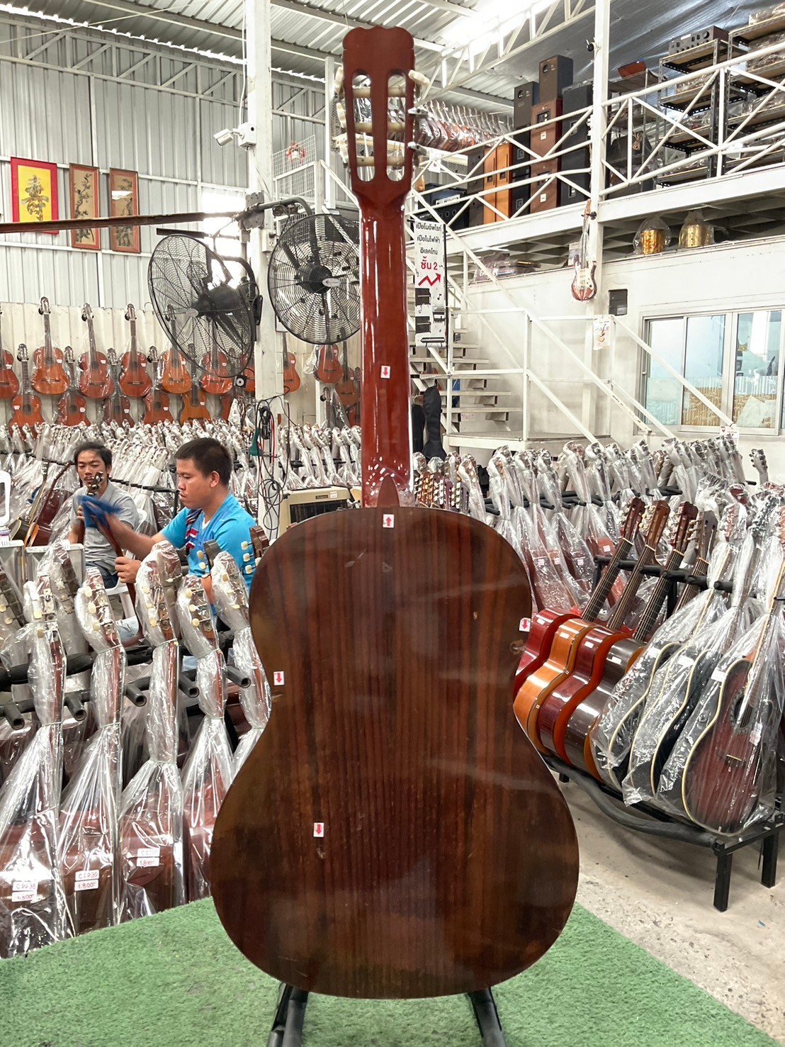 กีต้าร์คลาสสิค SUZUKI : C-13