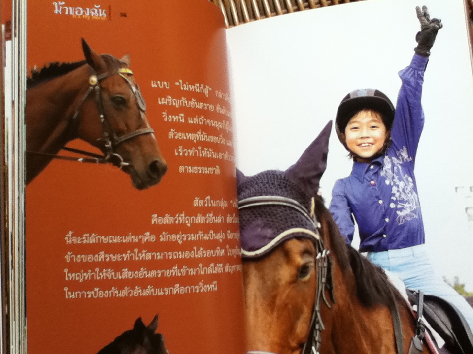 ม้าของฉัน/ ดร.จิระนันท์ อนันต์ไทย