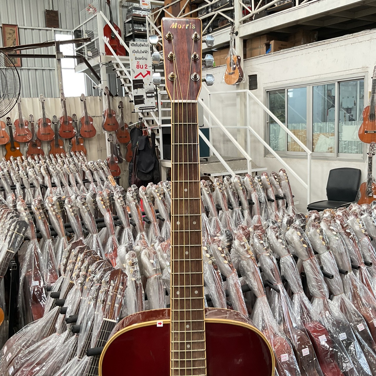 กีต้าร์โปร่ง Morris : MF-207