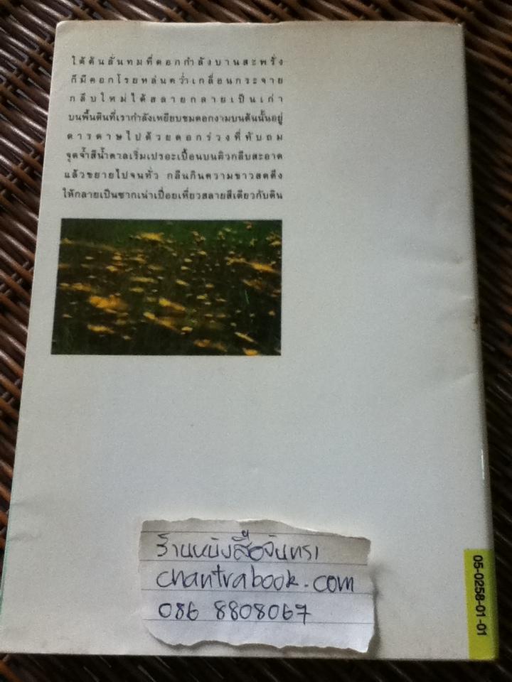 เพียงภาพฝัน/ ชัยชนม์