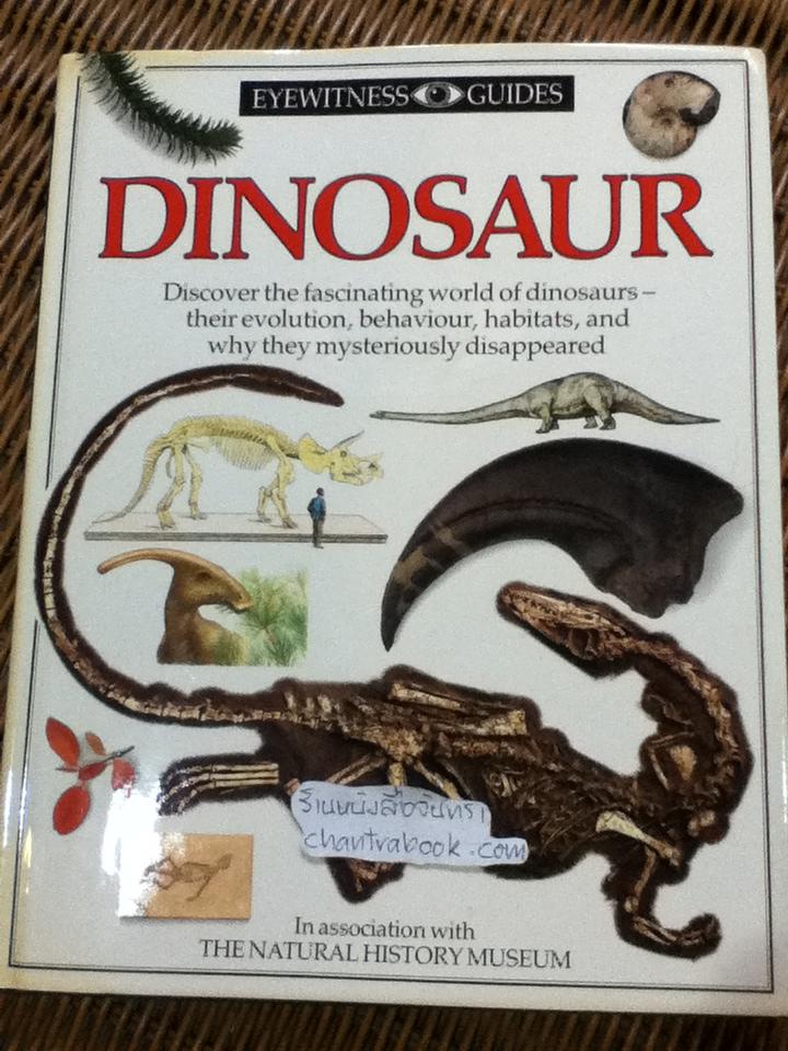 EYEWITNESS GUIDES 9 เล่ม